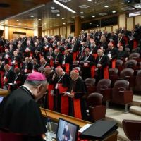Unidad, misin y verdad: claves de la octava Congregacin de Cardenales