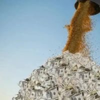 Los dlares del campo: en abril los agroexportadores liquidaron ms de u$s 2520 millones