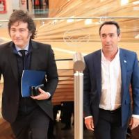 Pese a lo que dice Milei, las marcas de consumo masivo venden menos del 1% en Mercado Libre