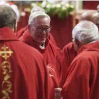 El contraataque del ala progresista: defendi el legado de Francisco y pidi que el perfil del prximo papa sea proftico