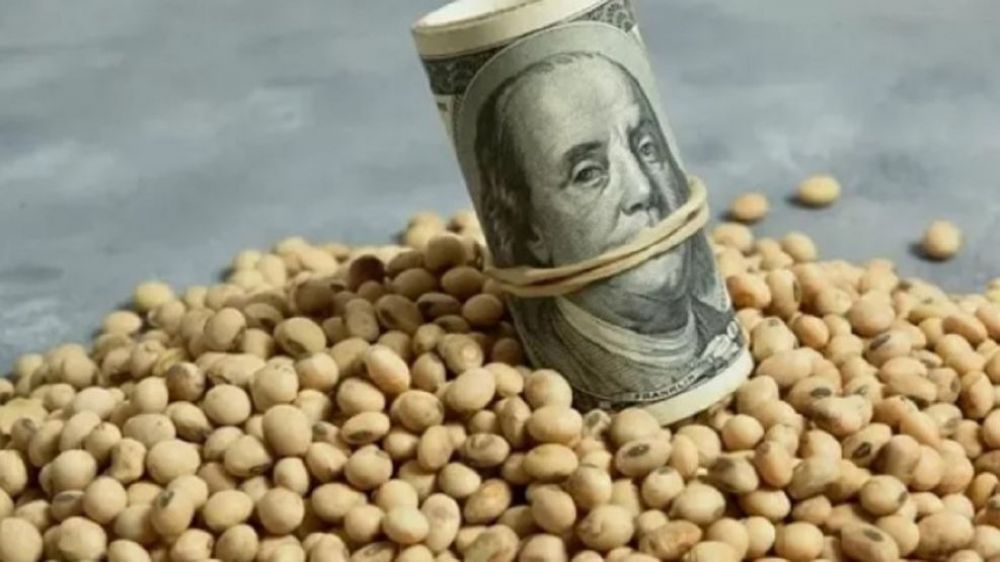 El campo advierte por el dlar barato: menos liquidacin y productores en crisis
