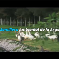 CEAMSE lanza su nueva identidad de marca: Campeones del Planeta