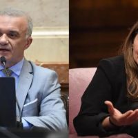 Quines son y a quin responden los dos senadores que cambiaron su voto e hicieron caer Ficha Limpia