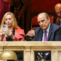 Ficha limpia: Doble maniobra del gobierno para salvar a Karina