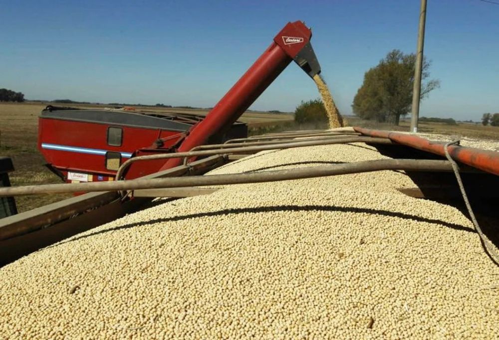 La agroindustria aport el 92% de las divisas netas que entraron a la economa argentina entre 2020 y 2024