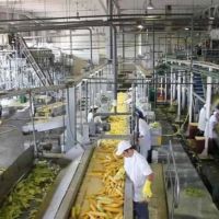 La industria, entre proyecciones de ms despidos de trabajadores y mquinas paradas