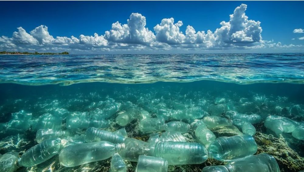 Estados Unidos: Famosas marcas de gaseosas fueron demandadas por engaar al pblico sobre reciclaje de plsticos