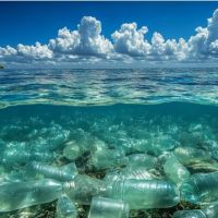 Estados Unidos: Famosas marcas de gaseosas fueron demandadas por engaar al pblico sobre reciclaje de plsticos
