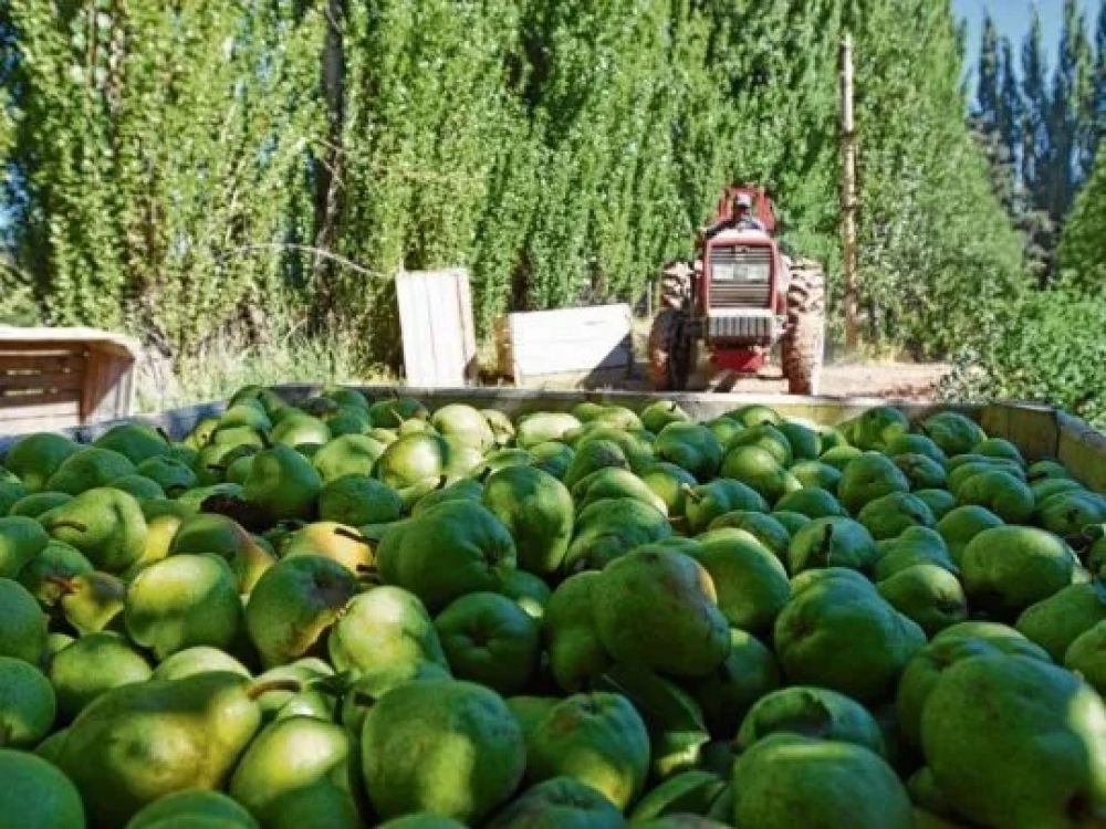 Economas regionales: la destruccin de un sector estratgico que alimenta a los argentinos
