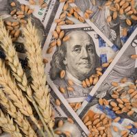 Retenciones: Caputo hizo un gesto político con el campo, con limitado impacto fiscal