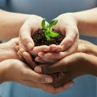 EU Green Week 2025: circularidad en el centro de la sostenibilidad urbana