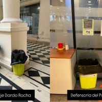 ¿Se separan los residuos sólidos urbanos en los edificios públicos platenses?