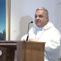Mons. Colombo explica la enseanza sobre la naturaleza sinodal de la Iglesia
