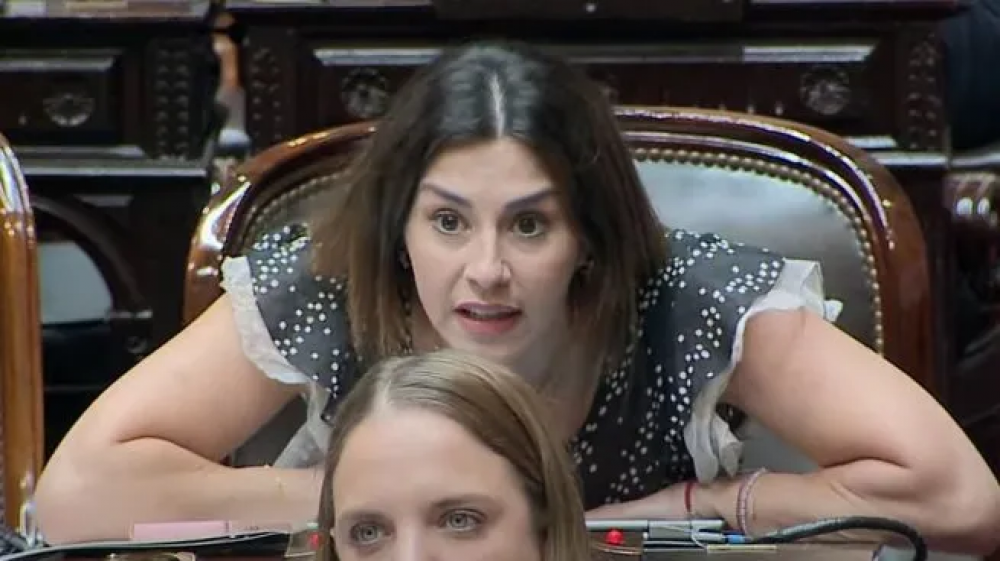 AMRA cruz a Marcela Pagano por su proyecto de desregulacin profesional: Sin los colegios, proliferan los falsos mdicos