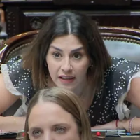 AMRA cruzó a Marcela Pagano por su proyecto de desregulación profesional: “Sin los colegios, proliferan los falsos médicos”