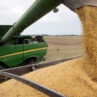 Soja: el campo sigue negociando para mantener la baja de retenciones