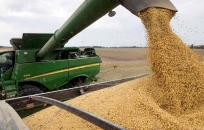 Soja: el campo sigue negociando para mantener la baja de retenciones