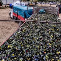 La Jarilla reinsertó 30.000 kilos de vidrio a la industria