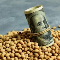 La liquidación agro se destacó, pero las reservas cayeron en mayo