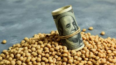 La liquidacin agro se destac, pero las reservas cayeron en mayo