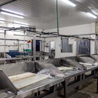 Confirman 40 despidos masivos en la pesquera Apolo Fish en Mar del Plata