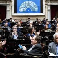 Diputados: la interna de UP quedó expuesta en la votación de Emergencia en Discapacidad