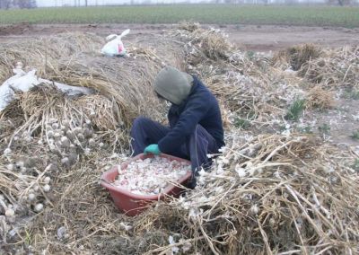 El trabajo infantil afecta an a 138 millones de nios en el mundo, segn la OIT