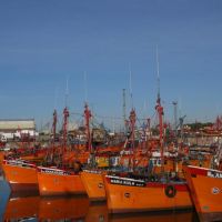 Mar del Plata: cercana y solidaridad de la Iglesia con los trabajadores del puerto