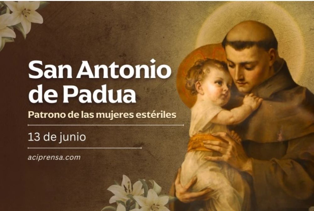 Hoy celebramos a San Antonio de Padua, el santo que tuvo en brazos a Jess nio