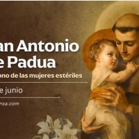 Hoy celebramos a San Antonio de Padua, el santo que tuvo en brazos a Jess nio