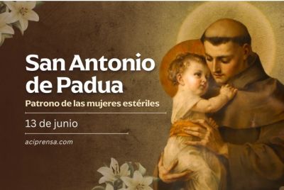 Hoy celebramos a San Antonio de Padua, el santo que tuvo en brazos a Jess nio