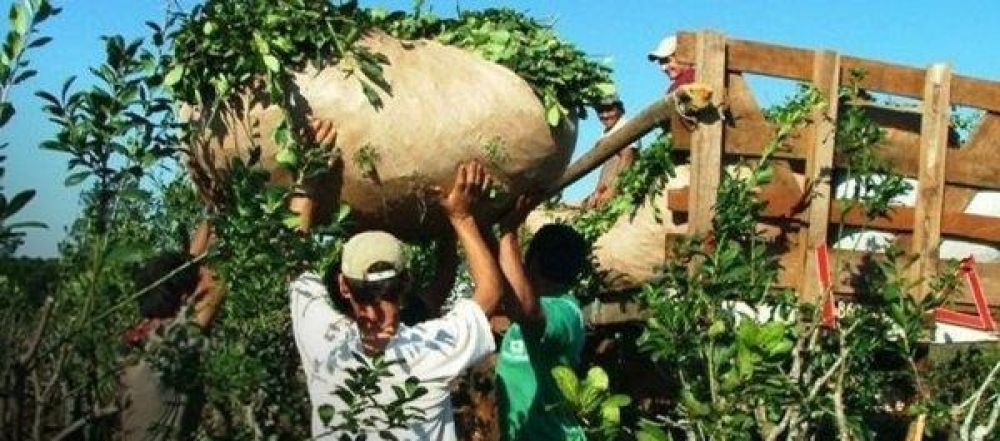Mapa productivo en jaque: crisis extendida en las economas regionales, algunas con un ao en rojo