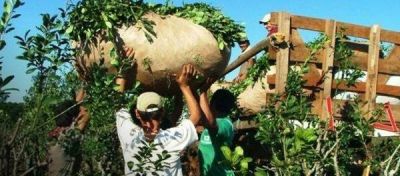 Mapa productivo en jaque: crisis extendida en las econom�as regionales, algunas con un a�o en rojo