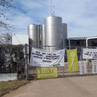 La Justicia embargó a una pyme por $168 millones y la dueña dijo que el fallo es “funcional a la mafia sindical”