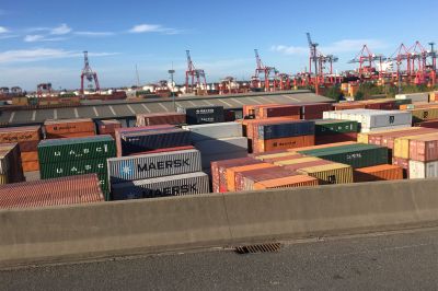 Fuerte caída del superávit comercial: la ola importadora arrasa con todo