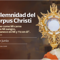 Hoy celebramos la Solemnidad del Cuerpo y la Sangre de Cristo