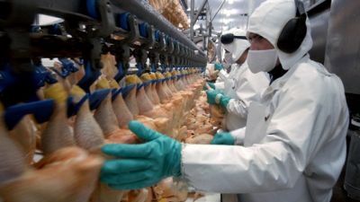 La Federación de la Carne rechazo la propuesta salarial del sector avícola y exige una mejora urgente