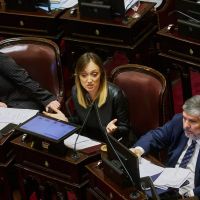 Jubilaciones y discapacidad: el kirchnerismo apura leyes sensibles y expone a Milei a nuevos vetos en la recta electoral