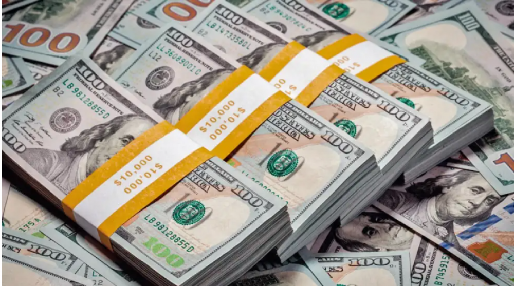 Los ahorristas compraron US$ 4.310 millones en 45 das