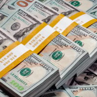 Los ahorristas compraron US$ 4.310 millones en 45 días