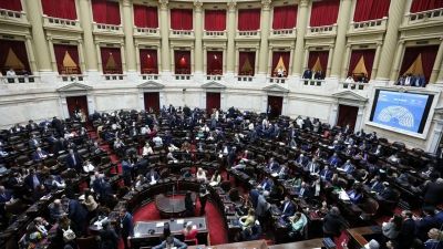 Diputados: se confirm una nueva sesin por universitario y el Hospital Garrahan