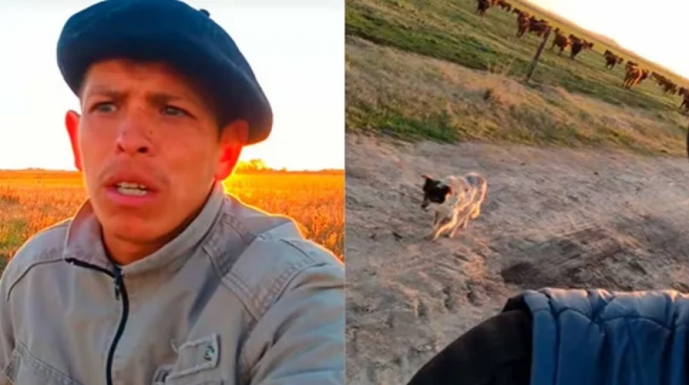 El Gobierno de Kicillof intim a los dueos de la estancia a regularizar al pen rural que se volvi viral al despedirse de su perro