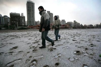 Mar del Plata: comunicado ante la muerte de una persona en situacin de calle