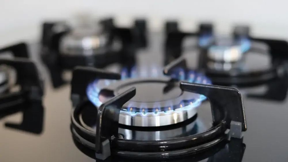 Emergencia de luz y gas: cortan el suministro a empresas por un da y evalan su extensin