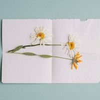Carta abierta a los hijos de pastores