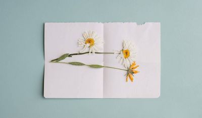 Carta abierta a los hijos de pastores
