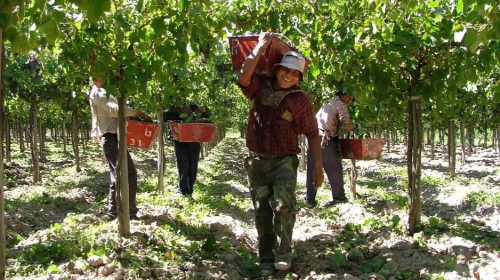 La UATRE rechaza la oferta de la mesa de enlace y exige salarios dignos para el trabajo rural