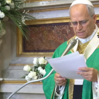 Len XIV pide ver sin pasar de largo en su primera misa en Castel Gandolfo
