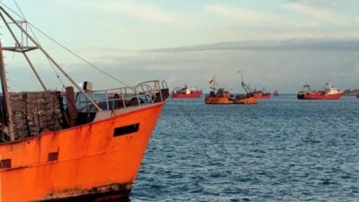 El sector pesquero est atravesando una de las crisis ms profundas desde que asumi este gobierno y hay cerca de 50.000 empleos en riesgo
