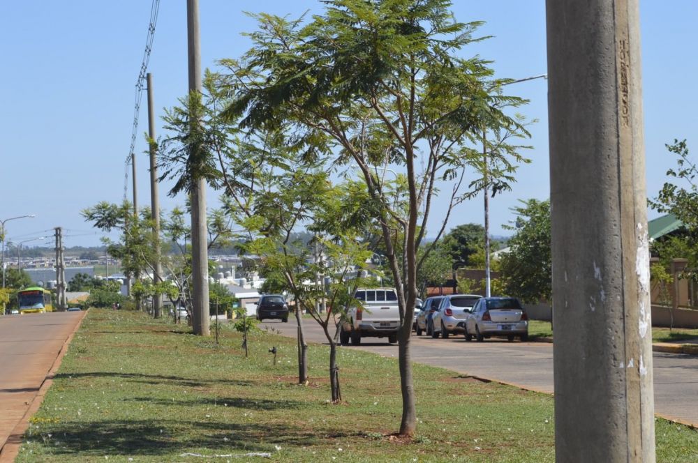 IPRODHA contina con el Plan Estratgico de Arborizacin: se plantaron 725 ejemplares autctonos en Itaemb Guaz